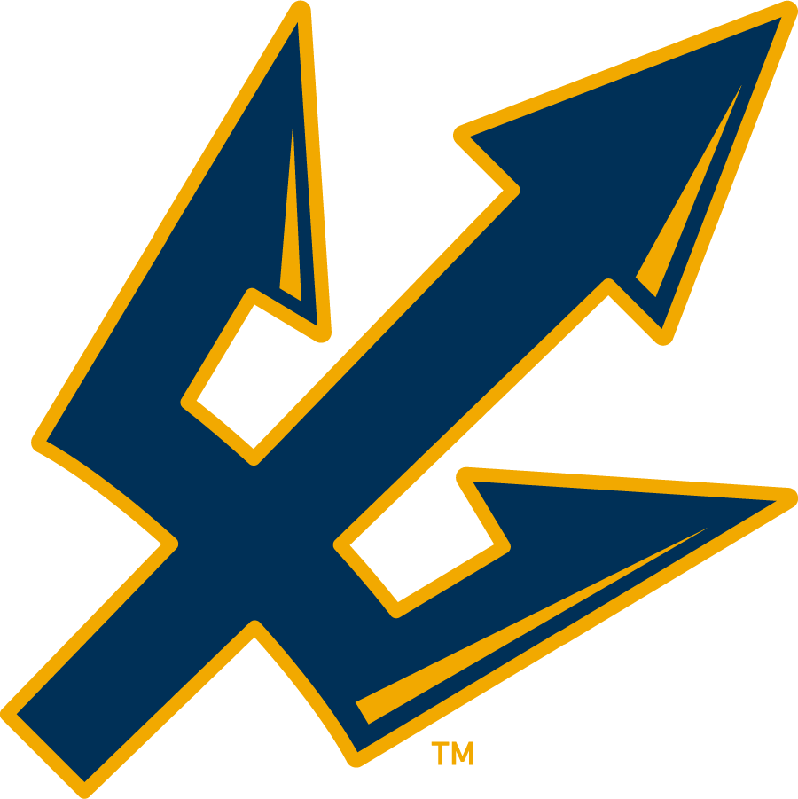 UC San Diego Tritons 2006-2018 Secondary Logo diy DTF decal sticker